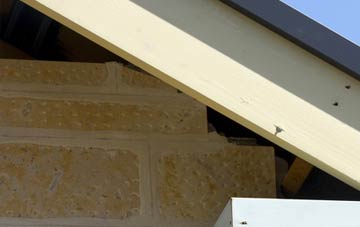 soffit repair Colmsliehill